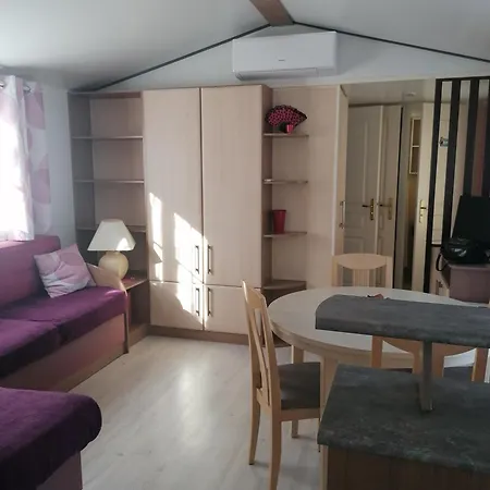 Mobilhome climatisé Mimizan Tout confort 4 pers 40M2 Camping *